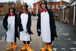 penguins.jpg - The Snow Queen's Arctic Adventure