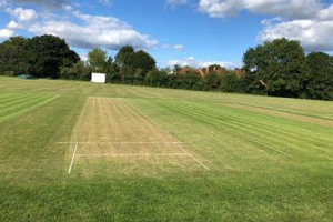 Return to Cricket at The Glebe