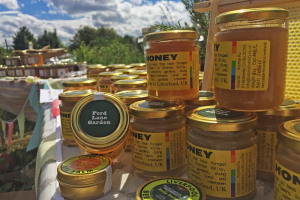 ford-lane-garden-honey-market-summer.jpg - Made in Bootle 
