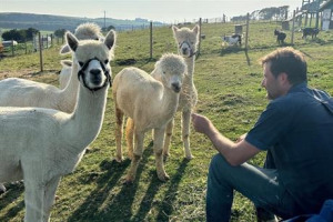 Care farming for disadvantaged Adults