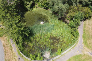 aerial-pond-photo.jpg - Transform Mount Farm Way Pond