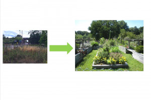 perivale-crowdfunder-image.jpg - Perivale Community Garden TYS2