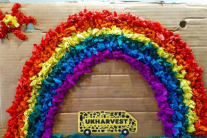 rainbow.jpg - Nourish the Nation-Community Covid-19 