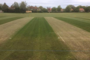 Keep cricket on the Village Green