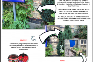 wildscaping-st-mark-s-church-wildscaping-worldwide-7.png - Support Our Trail Blazing Eco Church...