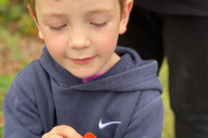 able-and-strawberry.jpg -  Letting Grow’s School Nature Workshops