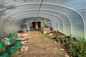 img-20200825-wa-0006.jpg - Help Us Grow Barnet Community Harvesters