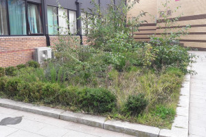 outdoor-space.jpg - Going Green at Meeting Point House