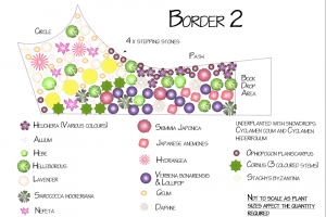 border-2.png - Create a Community Garden for Tickhill