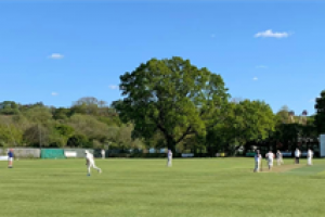 Cullompton CC Return to Cricket