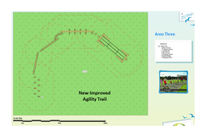new-agility-train-final.png - New Play Equipment for Poulton village