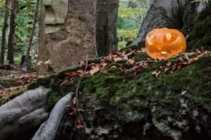 stoneface-creative-pumpkins-dsc-2316.jpg - Storrs Wood Jack O lantern spectacular