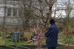 allotment.jpg - 12 months to the future
