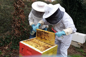 20190405-135117.jpg - Worthing Honey Collective