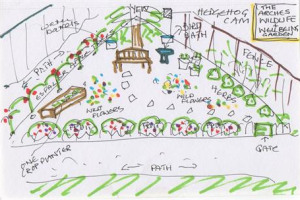 The Arches Wildlife & Wellbeing Garden