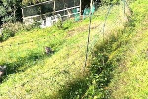 coop-1.jpg - Natural Play Area in Brimscombe