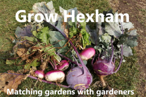 Grow Hexham