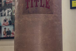 img-1683.jpg - Boxing of excellence 