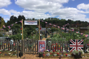 burpham-plot-20-hayley-colgate.jpeg - Guildford in Bloom – support local horti