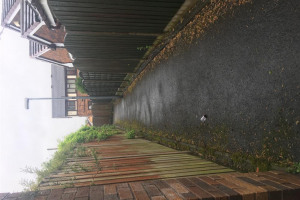 alley-1.jpg - Audenshaw alleyway tidy up and revamp!