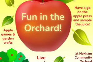 Fun in the Orchard at Hexham Community Orchard
