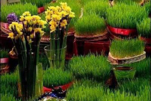 norouze-image-2019.jpg - Persian New Year-Noruze Celebration 2019