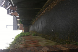 alley-5.jpg - Audenshaw alleyway tidy up and revamp!