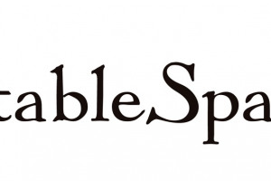 StableSpace-logo.jpg - TYS / StableSpace
