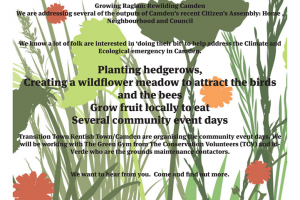 raglan-event-2.png - Growing Raglan : Rewilding Camden