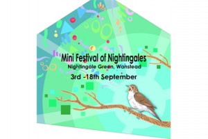Festival of Nightingales - micro project