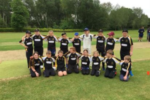 Let's Play Cricket!
