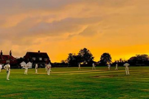 Help Rolvenden Cricket Club!