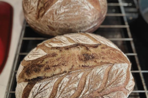 delicious-sourdough-bread-dublin.jpg - Urban Food Sharing - Sourdough Rotation