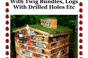 bug-hotel-ad.png - Rowlands Dell: A Green Haven Restored