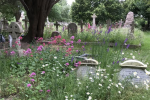 north-east-flowers-16-6-18.jpg - Conservation Progress at Heene Cemetery