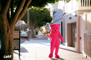 the-pink-bear-for-a-loved-one-copy.jpg - Retell Retail