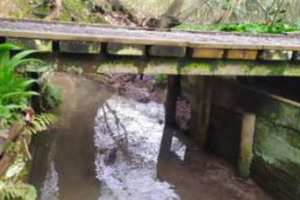 rotting-4-metre-bridge.jpg - Renovating Hob Hey Wood Pathways