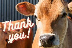 thank-you-pic.png - Just Jerseys Community Micro Dairy 