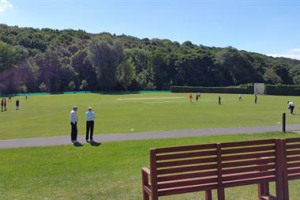Millhouses Cricket - Covid-19 Fund