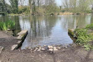 East Malling Lake Community Project