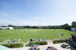 Help Battersea Ironsides Cricket Club!