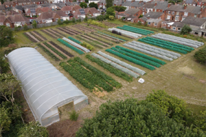 Young Farmers Gardening Club
