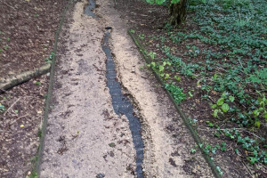 washed-away-path.jpg - Renovating Hob Hey Wood Pathways