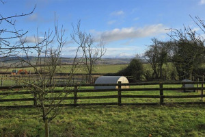 shared-image-15.jpg - Community Orchard at Blossom Barns