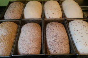 bread-photo.jpg - Help raise dough for our bread oven 