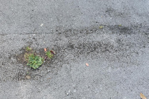 img-7735.jpeg - Renovate Callow End Village Hall carpark