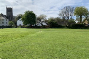 Marldon CC Survival Fund - COVID-19
