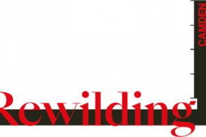Growing Raglan : Rewilding Camden