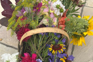 celebration-event-flowers.jpeg - Wellbeing Workshops for Ukrainian Women