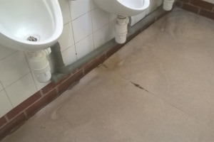 wp-20151118-16-34-33-pro.jpg - Deen City Farm's Better Bogs Appeal